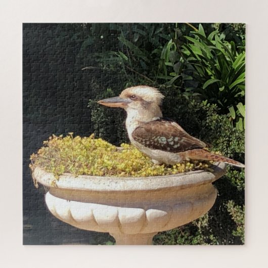 kookaburra legpuzzel (Horizontaal)