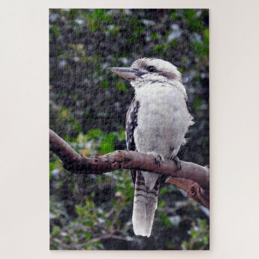 Kookaburra Legpuzzel (Verticaal)