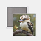 Kookaburra Magneet (Voorkant / Achterkant)