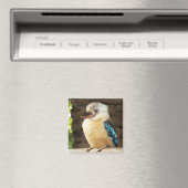 Kookaburra Magneet (Insitu (Vaatwasser))