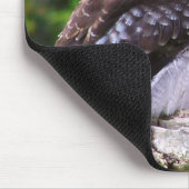 Kookaburra Mousepad Muismat (Hoek)