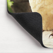 Kookaburra Muismat (Hoek)