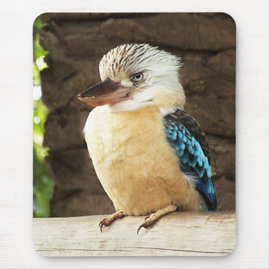 Kookaburra Muismat (Voorkant)