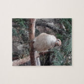 Kookaburra Puzzle Legpuzzel (Horizontaal)