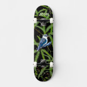 kookaburra skateboard (Voorkant)