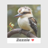 Kookaburra Sticker (Vel)