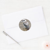 Kookaburra-Sticker Ronde Sticker (Envelop)