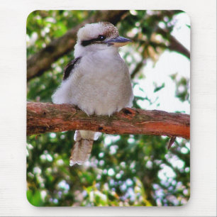Kookaburra vogel op een tak Muismat