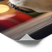 "Kookaburras' kerstlied" Poster (Hoek)