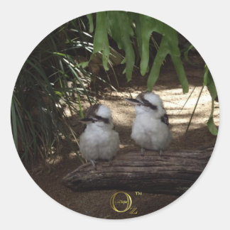 Kookaburras lachen ronde sticker