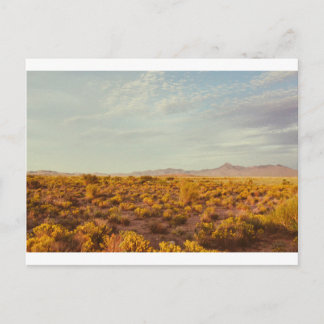 Kookes Briefkaart 14