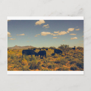 Kookes Peak Briefkaart 07