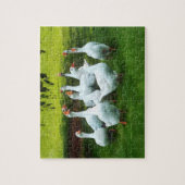 Kool ganzen legpuzzel (Verticaal)