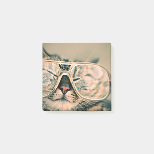 Kool Kat in bril Fotoafdrukken Post-it® Notes (Voorkant)