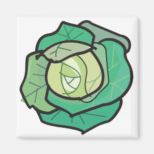 kool magneet