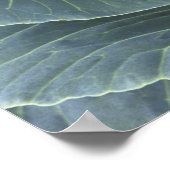 Kool met druppels water erop, poster (Hoek)