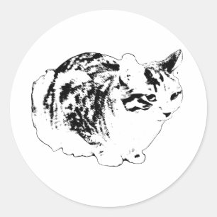 Kool Winter Tabby in Brood Ronde Sticker