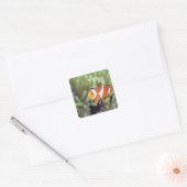 Koolanemonefish 4 vierkante sticker (Envelop)