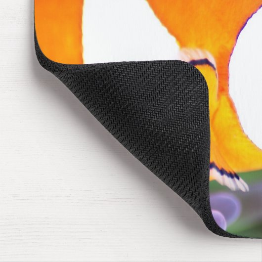 Koolanemonefish Muismat (Hoek)