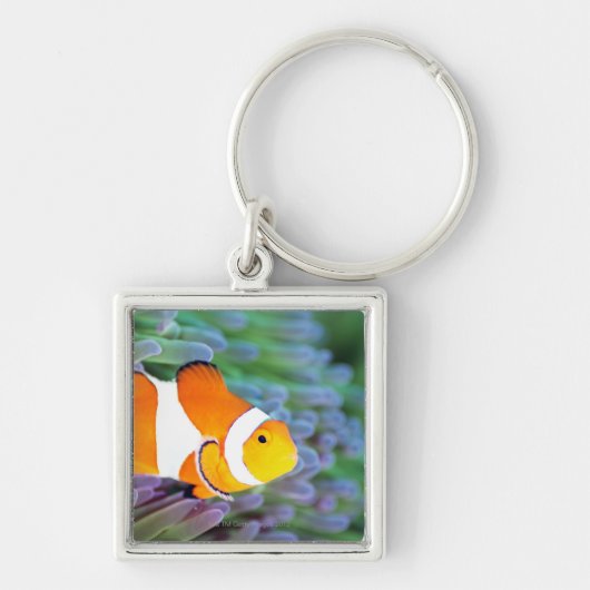 Koolanemonefish Sleutelhanger (Voorkant)