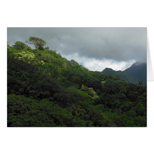 Koolau Mountains (Voorkant Horizontaal)