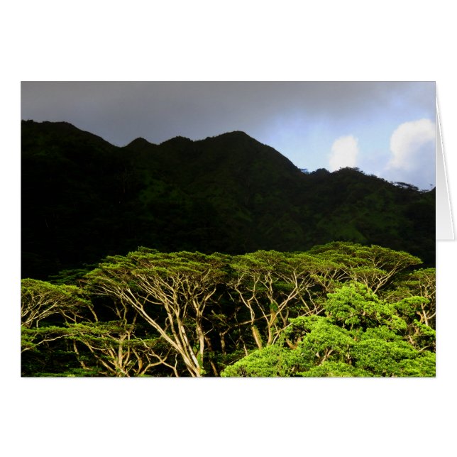 Koolau Mountains (Voorkant Horizontaal)