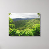 Koolau Mountains Canvas Afdruk (Voorkant)