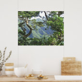 Ko'olau Mountains en Koa-bomen Poster (Keuken)
