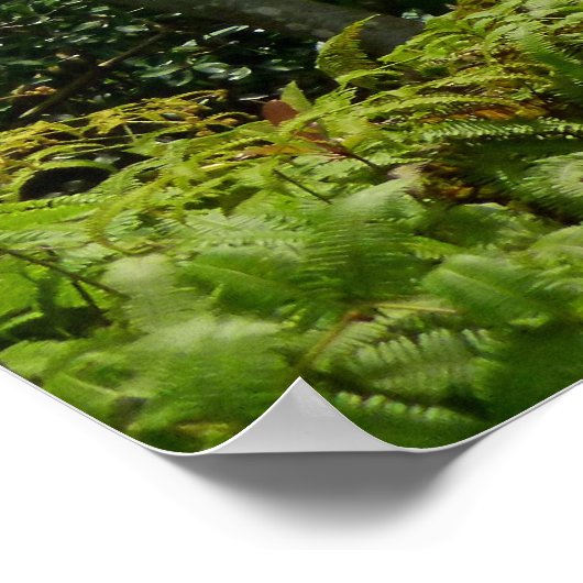 Koolau Mountains Poster (Hoek)