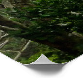 Koolau Mountains Poster (Hoek)