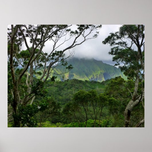 Koolau Mountains Poster (Voorkant)