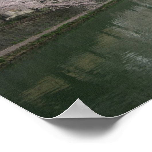 Koolbloesems Poster (Hoek)