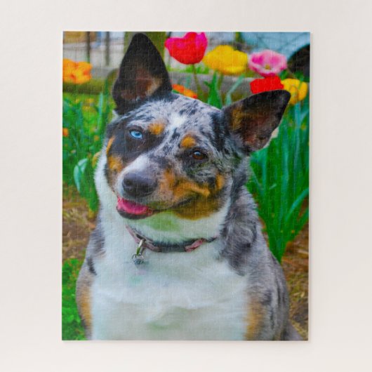 Koolie hond. legpuzzel (Verticaal)