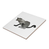 Koolkatje met zwarte waterverf tegeltje (Zijkant)