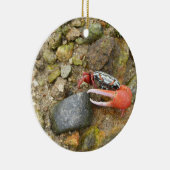 Koolkrab Keramisch Ornament (Rechts)