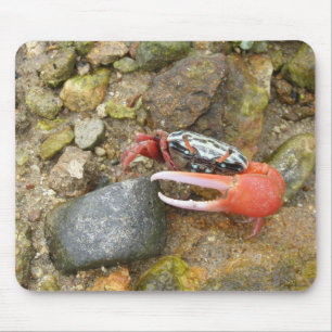 Koolkrab  muismat