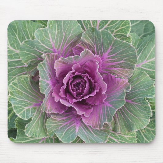Koolplant Muismat (Voorkant)