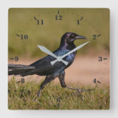 Koolstaartgrackle Vierkante Klok (Voorkant)