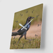 Koolstaartgrackle Vierkante Klok (Hoek)