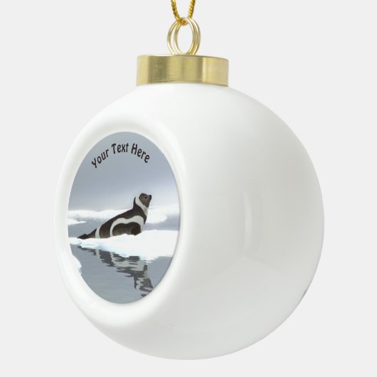 Koolstofafdichting op ijs keramische bal ornament (Rechts)