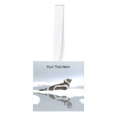 Koolstofafdichting op ijs kubus ornament (Voorkant)