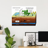 Koolstofdioxide-sequestratie uit Plant van steenko Poster (Thuiskantoor)