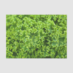 Koolstofpatroon Tissuepapier