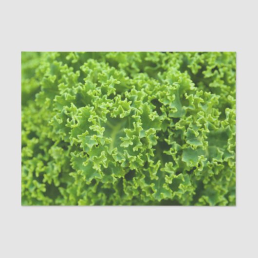 Koolstofpatroon Tissuepapier (Voorkant)