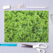 Koolstofpatroon Tissuepapier (Craft)