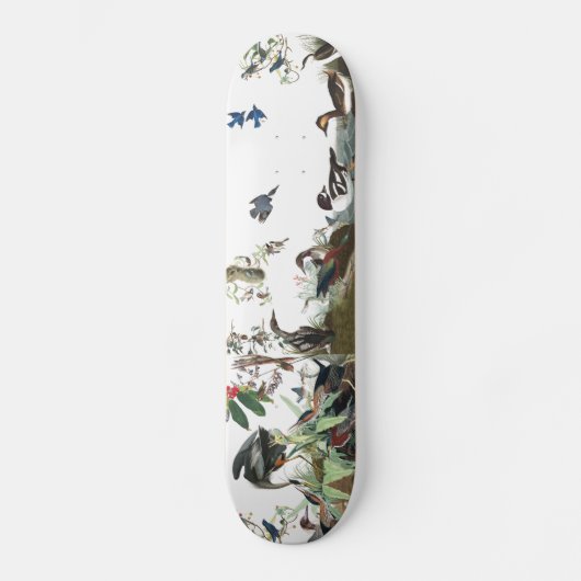 Koolstofvogels in het wild levende dieren Skateboa Skateboard (Voorkant)