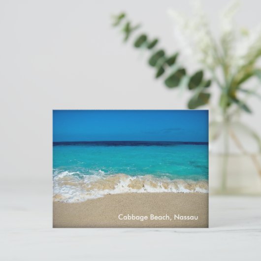 koolstrand briefkaart (Staand voorkant)