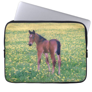 Koolt in Dandelion Field Laptop Sleeve