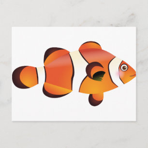 Koolvis Briefkaart