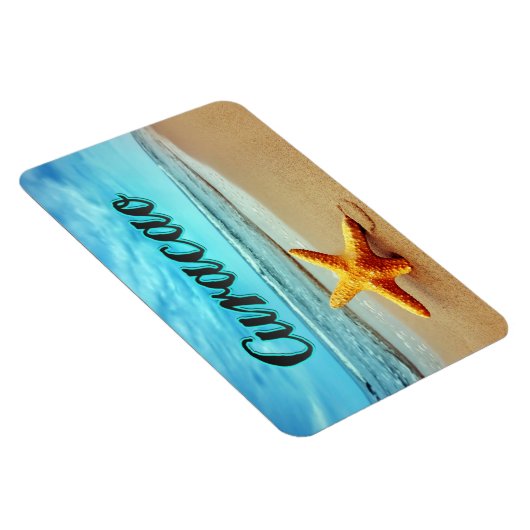 Koolvis Magneet (Rechterzijde)